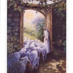 jesus sheep door